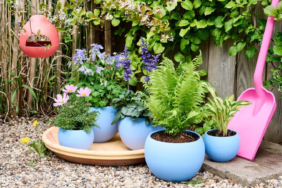 10 plantas de jardineria para decorar tu hogar PlantasPara.es