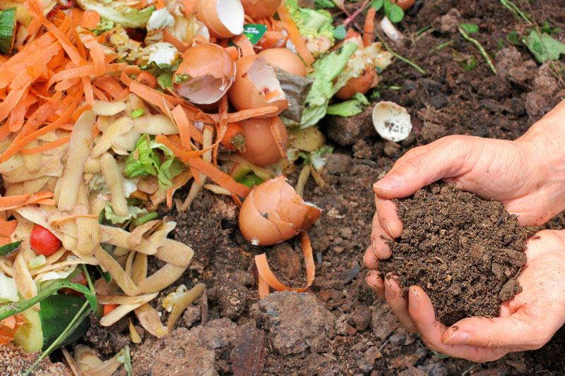 como hacer compost para tus plantas de jardineria PlantasPara.es