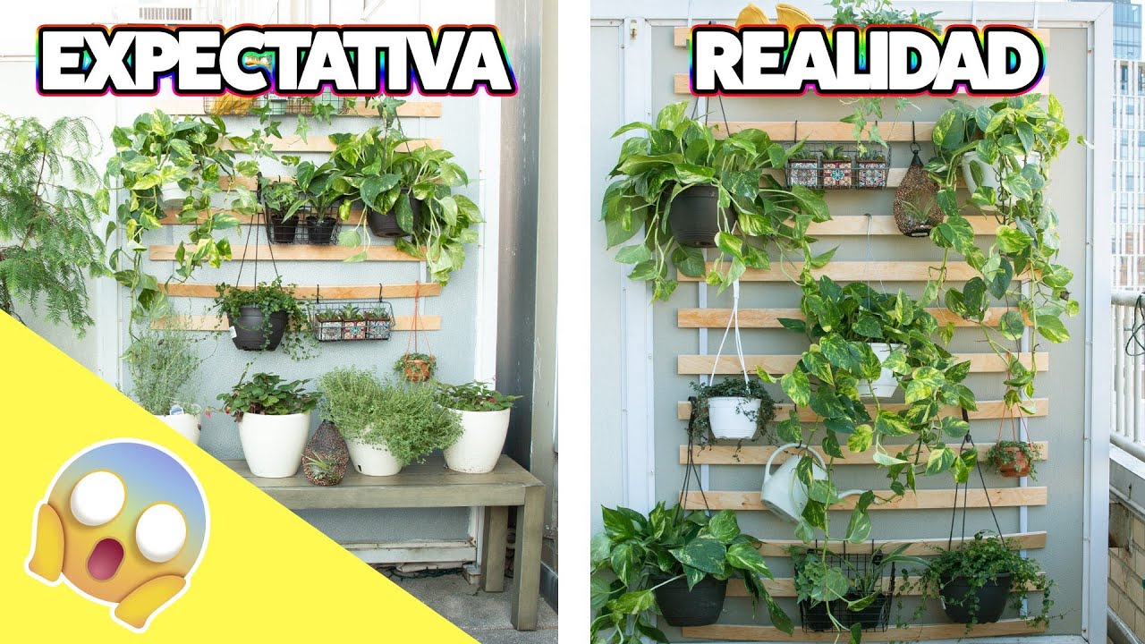 como hacer una pared de plantas con plantas de jardineria PlantasPara.es