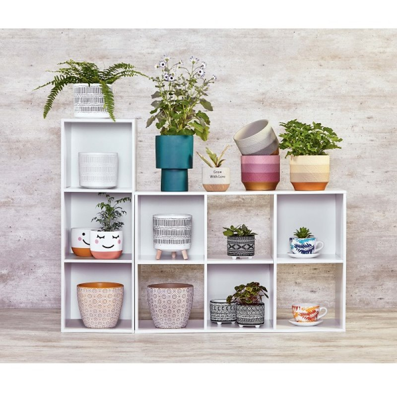 plantas decorativas dale vida y estilo a tu hogar PlantasPara.es